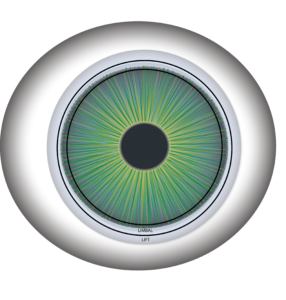 Scleral lens close-up